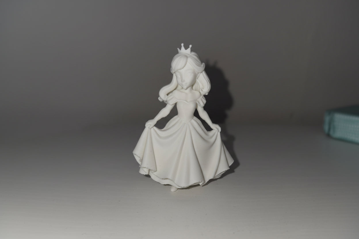 Princess - Blank Canvas