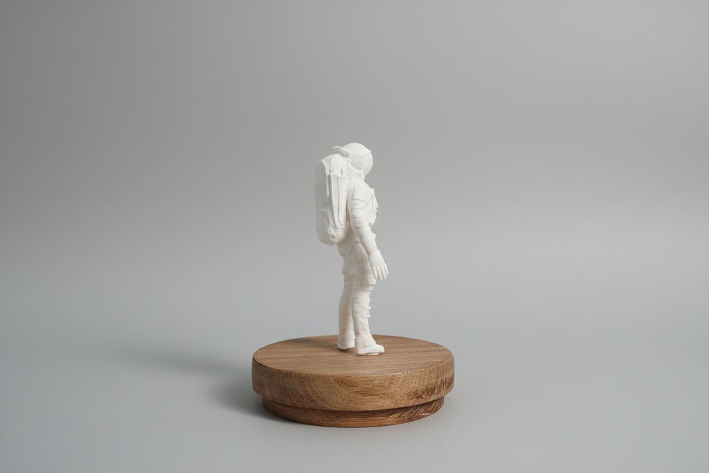 Astronaut - Blank Canvas